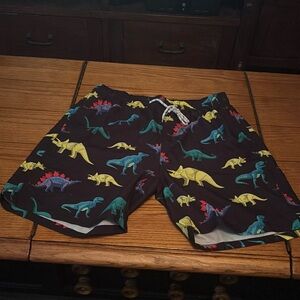 Men’s dinosaur swim trunks, size medium